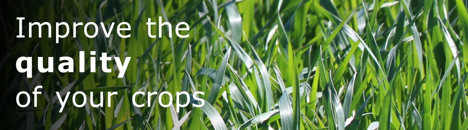 Biostimulants in Lincolnshire