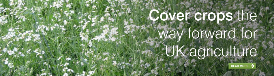 Cover Crops & Seeds in Lincolnshire